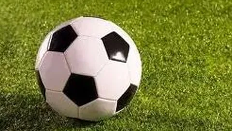 澳门威尼斯人平台 资讯 095035 nqv